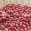 Groundnut Peanut Kernels