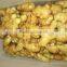 Fresh ginger, air dried fresh ginger, chinese fresh ginger