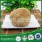 Every size Dried Organic Food, Hericium Erinaceus, Edible Mushroom