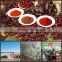 High quality of red paprika chilli powder
