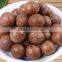 new type macadamia nut cracker machine/macadamia nut opening machine/macadamia nut tapping machine