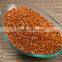 Red millet