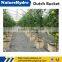 Greenhouse Dutch Bucket Hydroponic for Commercial