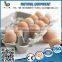 high quality egg pulp cartons of 12 eggs