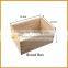 New Zealand pine wooden bee hive 10 frames honey bee box/ 10 frames beehive