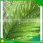 6 Feet 3 Trunk Artificial Cane Palm Silk Tree