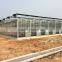 low cost Polycarbonate Agricultural Greenhouse