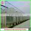 Double layer high tunnel plastic film greenhouses for flower/vegetable growing