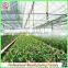 Environmental Polycarbonate Sheet Hydroponic Greenhouses With Cooling System