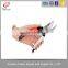50# Steel High Quality Garden Hand Shear /carbon steel scissor