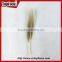 50pcs Home Decorative Dyed Natural Grey Dyed Goose Feathers Sale