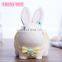 Hot Sale in Amazon Gift for Girls Top Quality Nature Resin Cute Rabbit Shape Unbreakable Piggy Bank Cartoon Saving Money Box