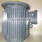 Siemens 1TL0003 IE3  IEC standard high voltage  0.55~315KW IP55  three phase induction TEFC AC motor IC411