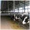 Steel Structural Building Fabrication Poultry Farm Shed for Pig/Cow/Goat in China