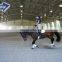 Cost Saving Prefabricated Steel Structure Horse Stall