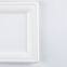Disposable Biodegradable 10INCH square plate Take away Sugarcane