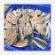 Good Price Frozen Sardine Fish Fillet tail on