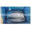 IQF Spanish mackerel fish fillet boneless skin on