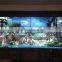 Best price Samsung panel LCD wall LED hot sale video wall for indoor/outdoor