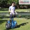 Best sell electric chariot for young people
