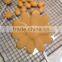 FDA&LFGB approved Flower design Silicone Lollipop Mold