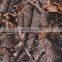 China Hydro Camo Dipping Films for hunting products