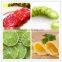 Top Quality Hot Sale Vegetable And Fruit Slicer