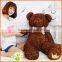 Stuffed Plush Teddy Bear with Big Size