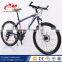 Factory Direct Fancy New Design Mountain Bikes/Famous Brand Disc MTB Bike/Complete Mountain Bike