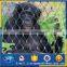 Stainless steel wire rope mesh for zoo fence