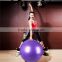 Ningbo Virson 45 cm,55cm, 65cm, 75cm .85 CM Exercise Balance Fitness pvc Yoga Ball                        
                                                Quality Choice