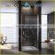 Straight shape new design pivot shower door EX-218A