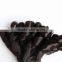 virgin brazilian hair 2016 New arrival unprocessed 100 virgin hair Spring curl for women