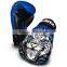 Blue boxing Gloves