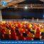 Outdoor high reinforced 1000 seater tent for Concert