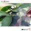 telescopic plastic tubes for packaging QP