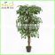cheap artificial green money trees for house decoration wood trunk