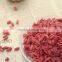 Manufacturer Supply Sun Dried Goji Berry/wolfberry Bulk