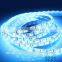 Non-Waterproof smd 5050, 60led/m, 300led/roll rgb zilotek led grow strip light