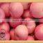 Bulk Fresh Fuji Apple Fruit for Export