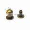 Brass 6mm Sam Broune Stud Button
