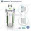 Cryotherapy Fat Freezing Device Cryolipolysis Fat Zeltiq Freezing Loss Weight Machine Body Shaping