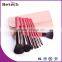 professional soft make up brush set