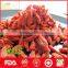 Bulk dried goji berries with wholesale price
