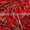 Whole dried chilli