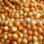 Fresh Yellow Onion
