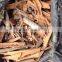 VIETNAM BROKEN CASSIA, HIGH QUALITY, BEST PRICE (+841657106604 - WHATSAPP)