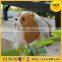 Korean Cube Pets Animal Dog Tube Plush Dog Toys for Sales