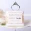 100pcs New Double Cotton Swab Round Tip in pp Bag