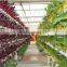 Greenhouses For Vegetables